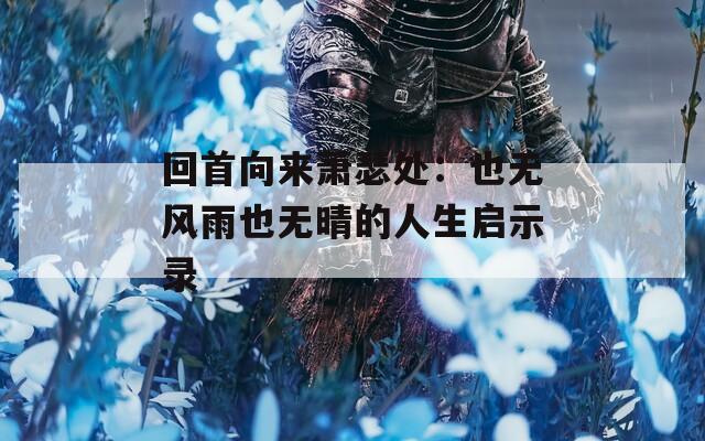 回首向来萧瑟处：也无风雨也无晴的人生启示录