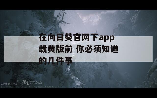 在向日葵官网下app载黄版前 你必须知道的几件事