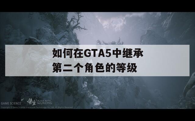 如何在GTA5中继承第二个角色的等级