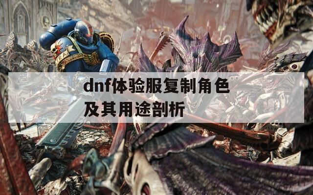 dnf体验服复制角色及其用途剖析