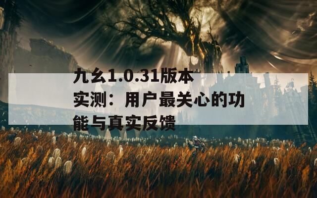 九幺1.0.31版本实测：用户最关心的功能与真实反馈